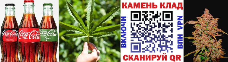 где продают   Удачный  Cannafood конопля 